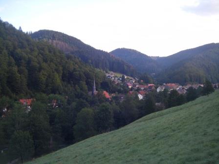 75_2020-09-01-1Sieber im Harz.JPG